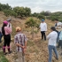 Capacitación sobre “Manejo de mango variedad Kent, en las etapas de maduración de yema e inducción floral”