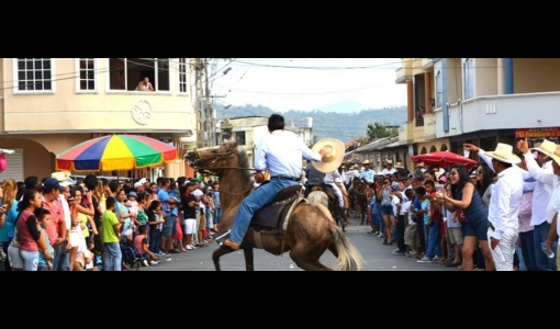 Caballos de paso presentes en Feria de Macará