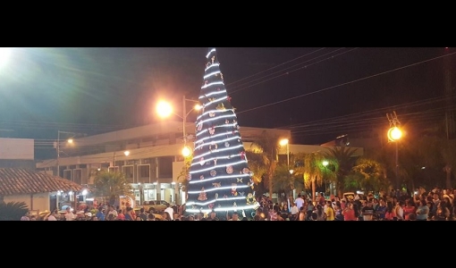 Se realizó programa especial de encendido del Árbol de Navideño