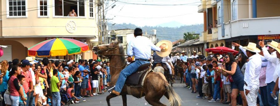 Caballos de paso presentes en Feria de Macará